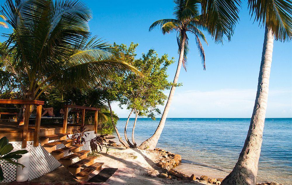 Hatchet Caye Island Resort (Adults Only) Placencia Dış mekan fotoğraf