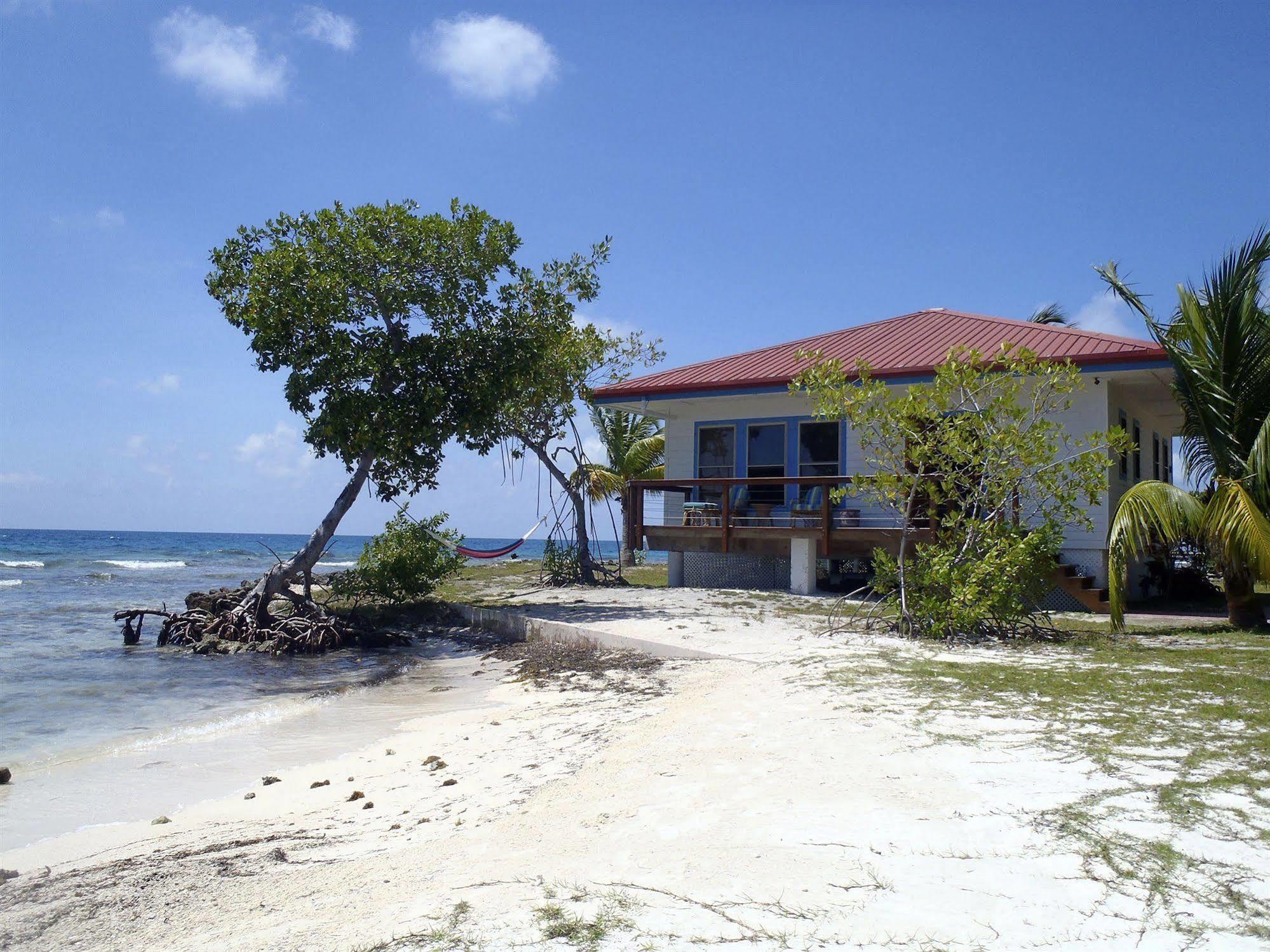 Hatchet Caye Island Resort (Adults Only) Placencia Dış mekan fotoğraf