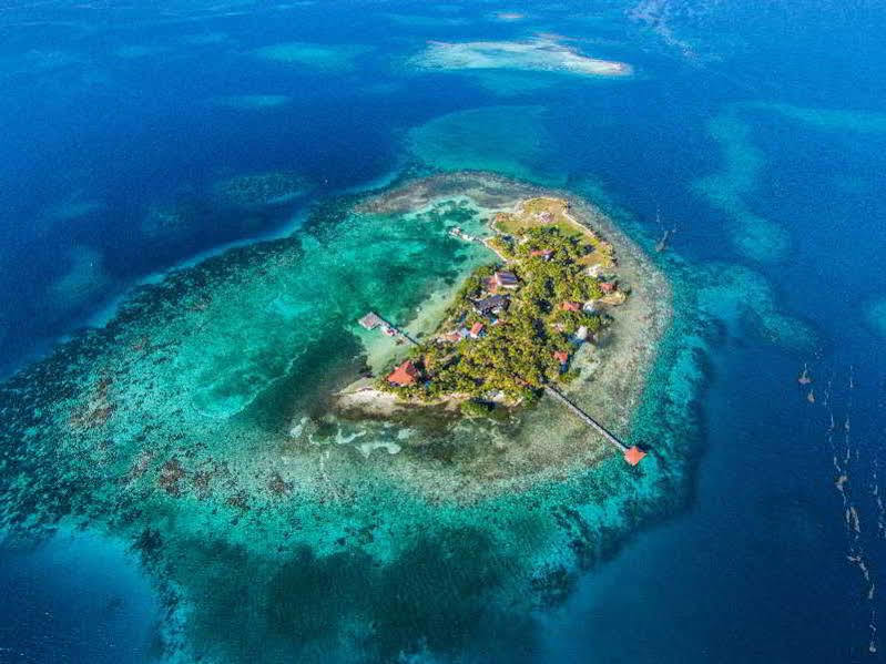 Hatchet Caye Island Resort (Adults Only) Placencia Dış mekan fotoğraf