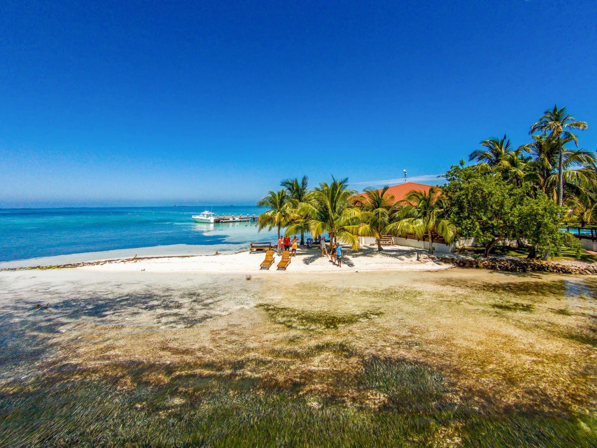 Hatchet Caye Island Resort (Adults Only) Placencia Dış mekan fotoğraf