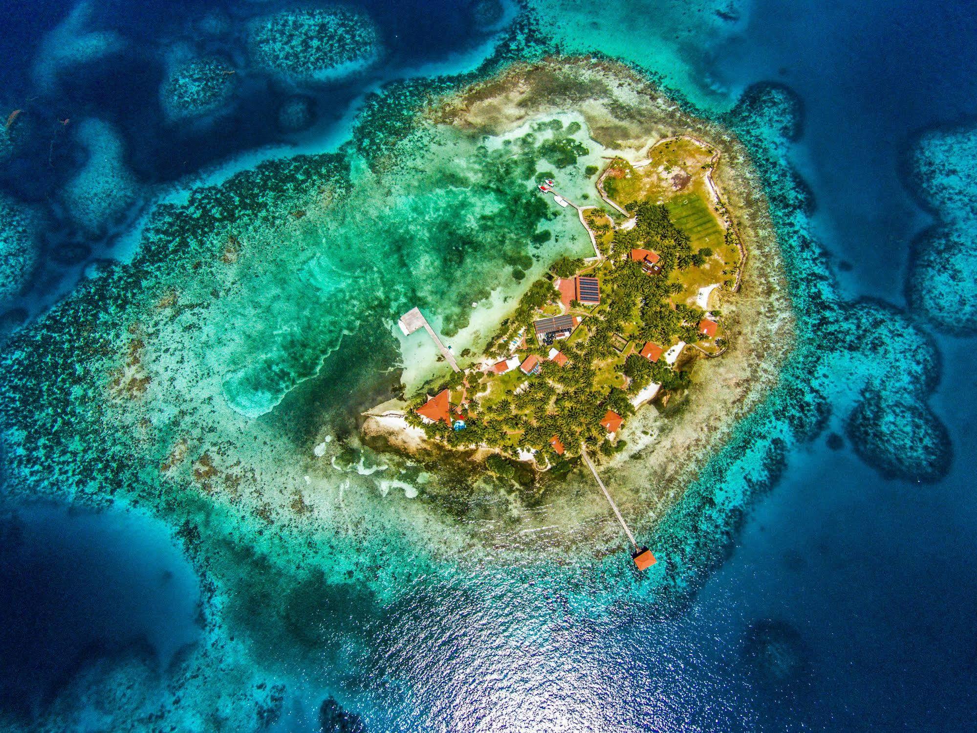 Hatchet Caye Island Resort (Adults Only) Placencia Dış mekan fotoğraf