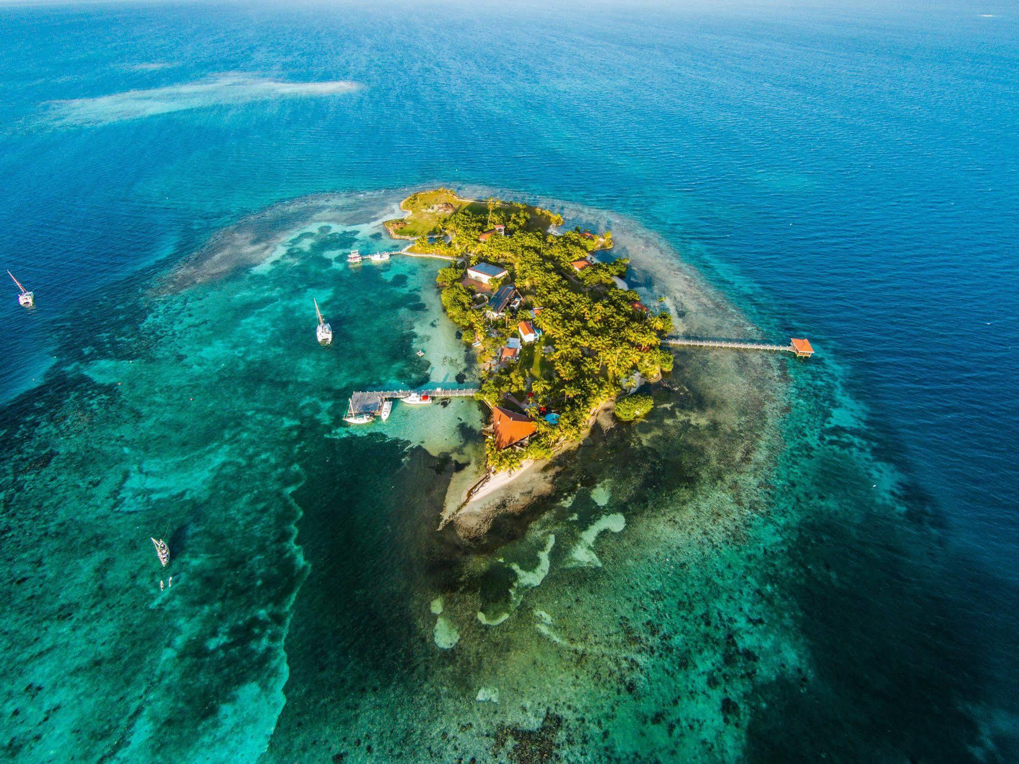 Hatchet Caye Island Resort (Adults Only) Placencia Dış mekan fotoğraf